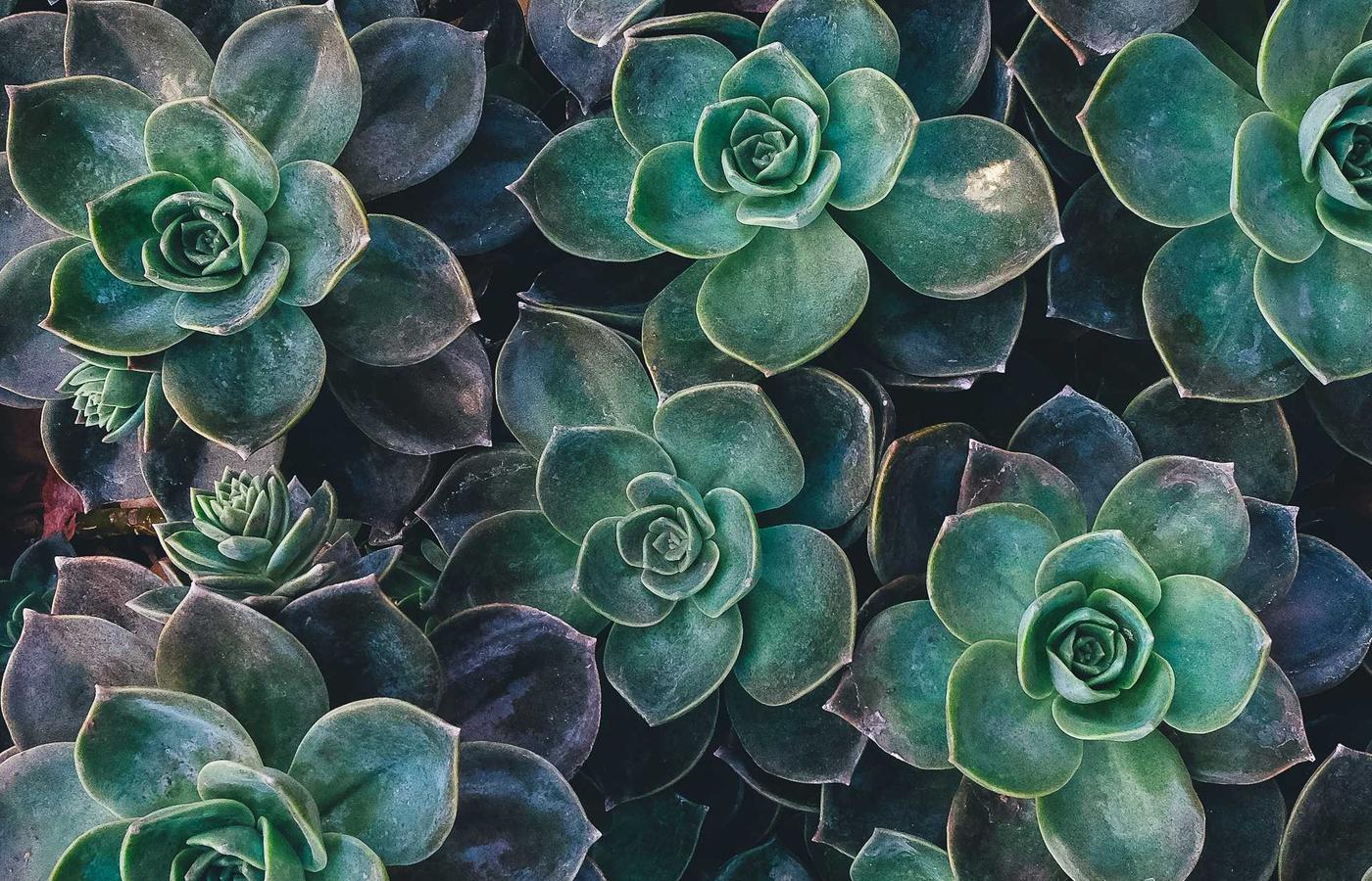 Біздің кеңсе