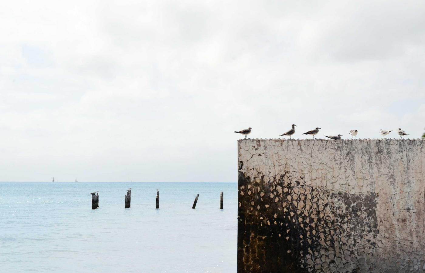 Мақала суреті