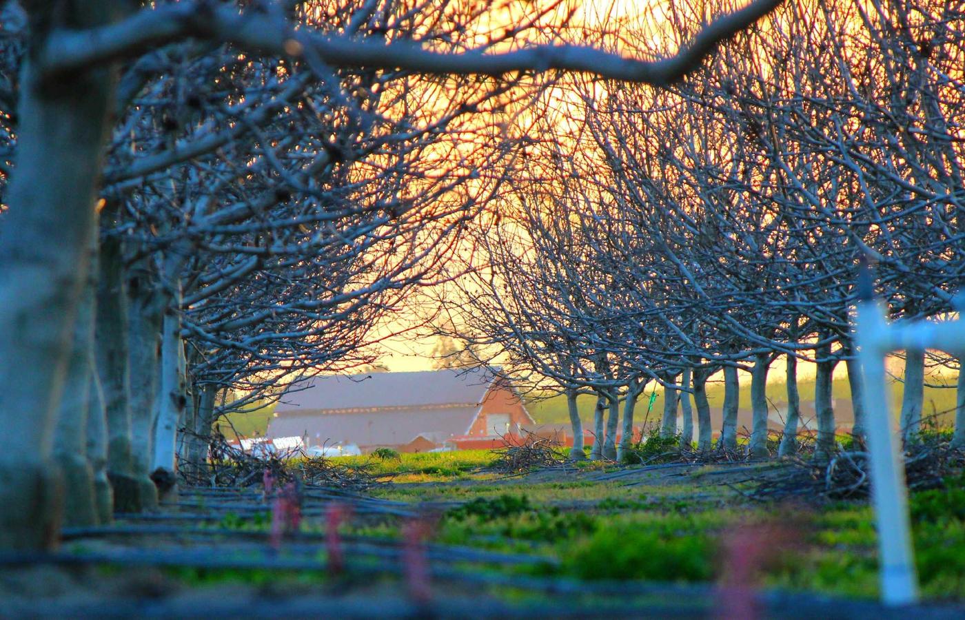 Мұрағат суреті