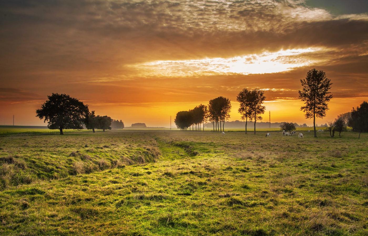 Айгерім Нұрланова